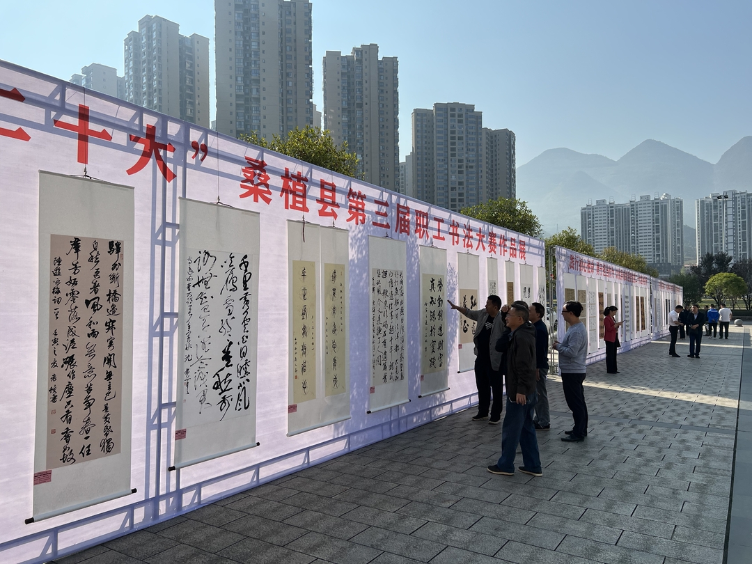 喜迎二十大丨桑植县第三届职工书法大赛作品展正式开展