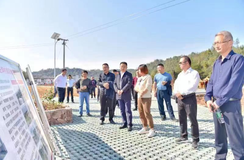 第三季度巡田暨全市耕地保护田长制、矿山生态修复、村庄规划编制工作推进会在桑召开
