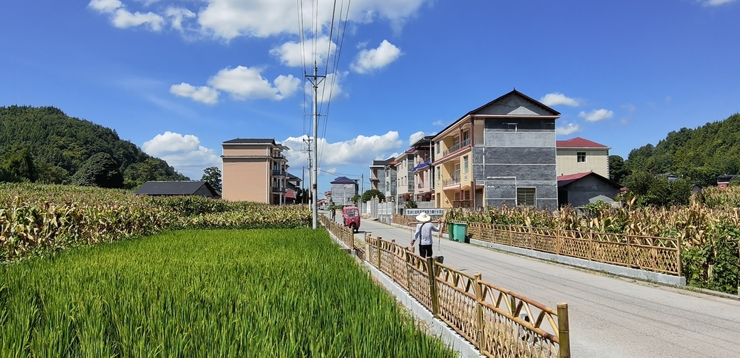乡村振兴看桑植丨共建美丽屋场 共享幸福生活