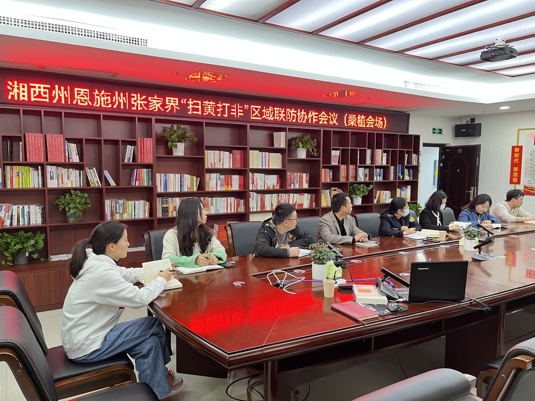 湘鄂两地召开“扫黄打非”区域联防协作会议 我县以视频会议形式参加会议