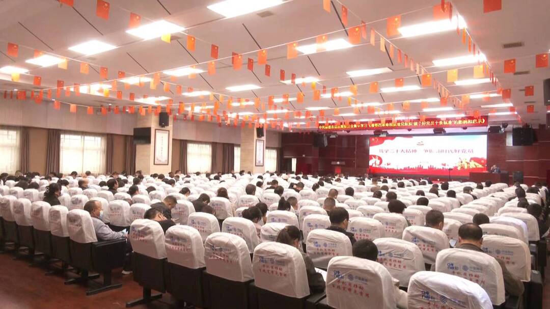 桑植县总医院举办主题党日活动
