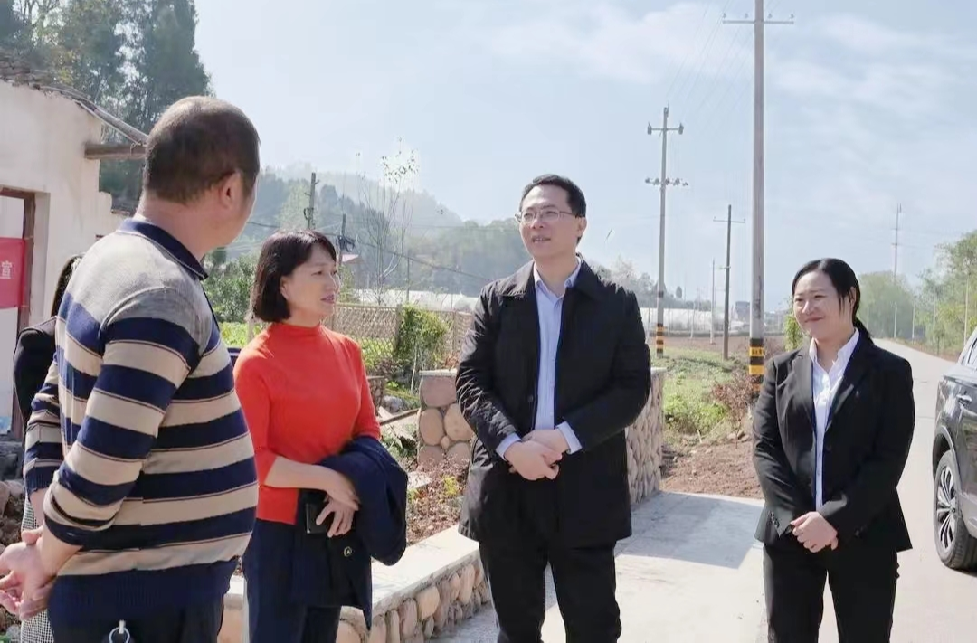 吴文海来桑调研洪家关文旅小镇建设等工作