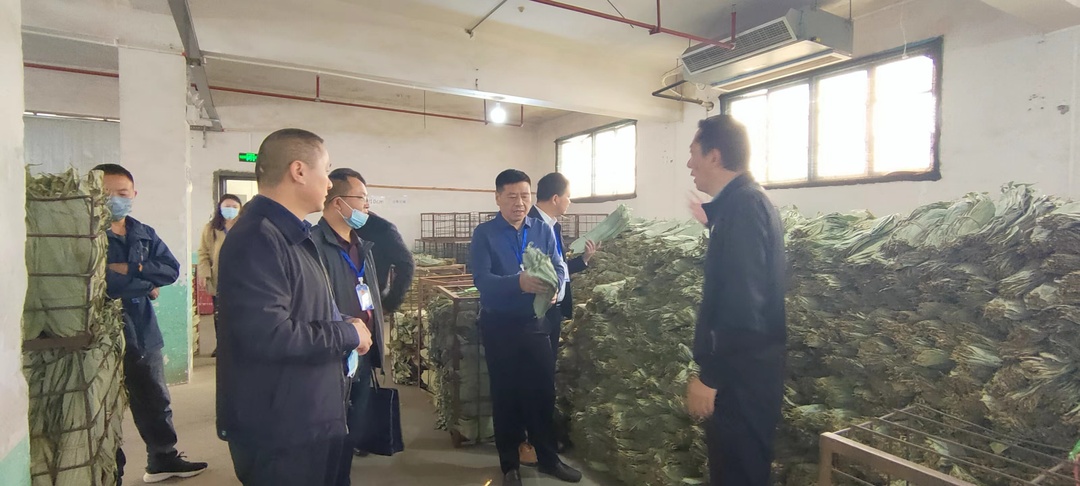 市县人大代表视察我县创建全国民族团结进步示范县工作