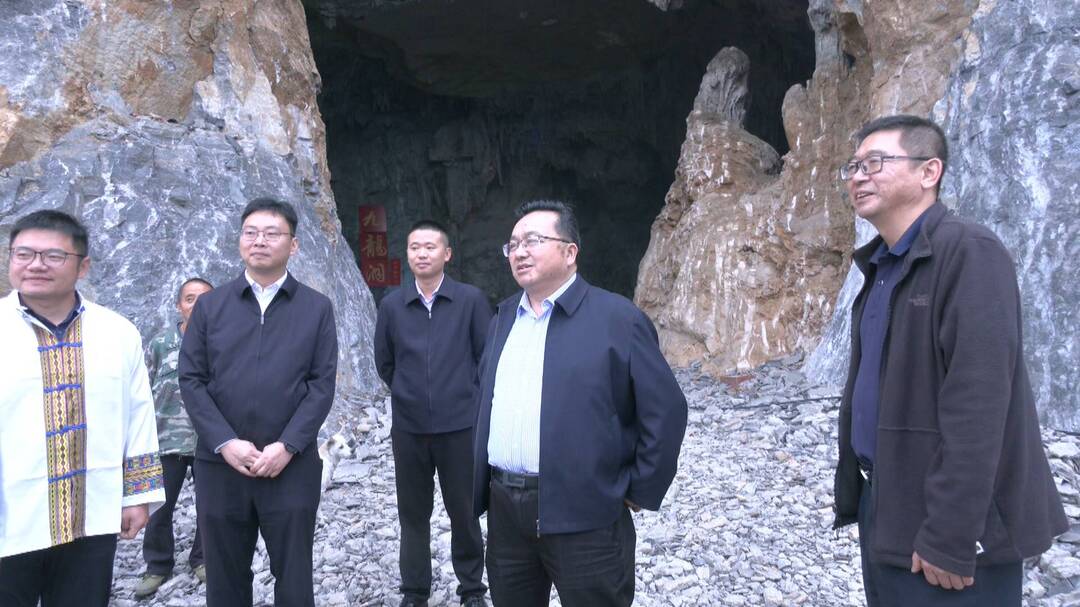 刘兴带队到龙潭坪镇三合界村督导乡村振兴工作