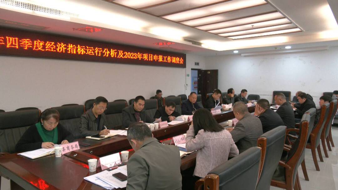 桑植县调度2022年四季度经济指标运行分析及2023年项目申报工作