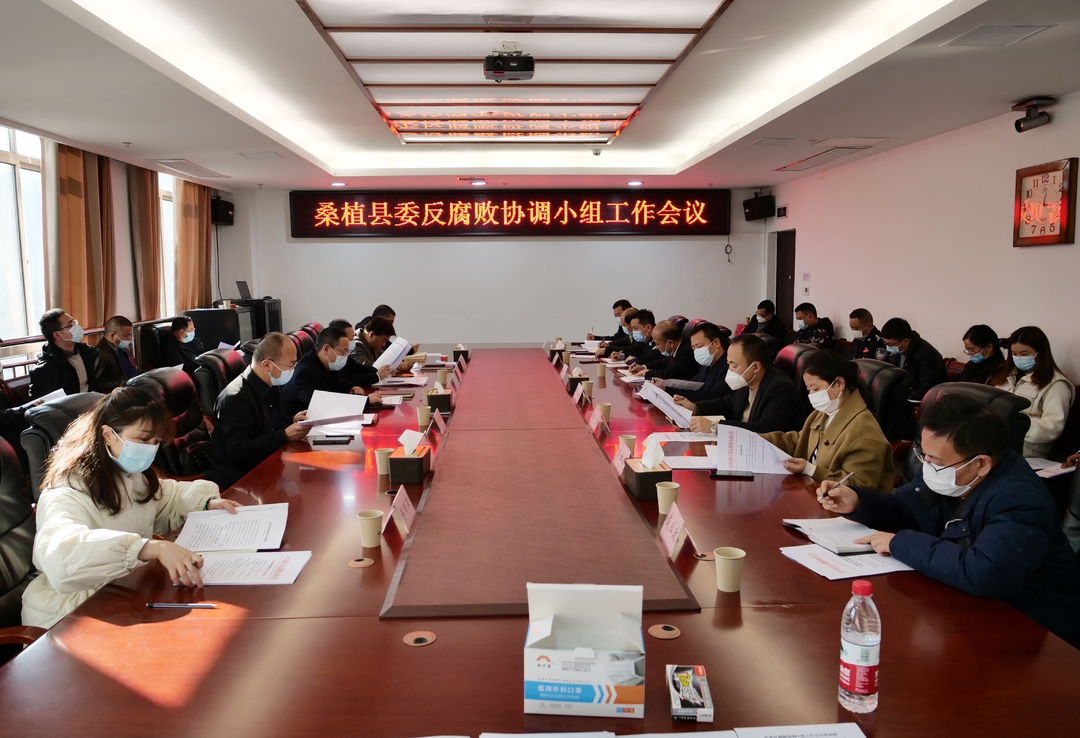 十三届县委反腐败协调小组召开第一次会议