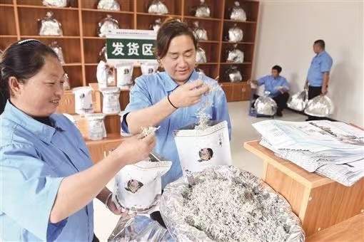 官地坪镇：激活乡村振兴人才“新动能”