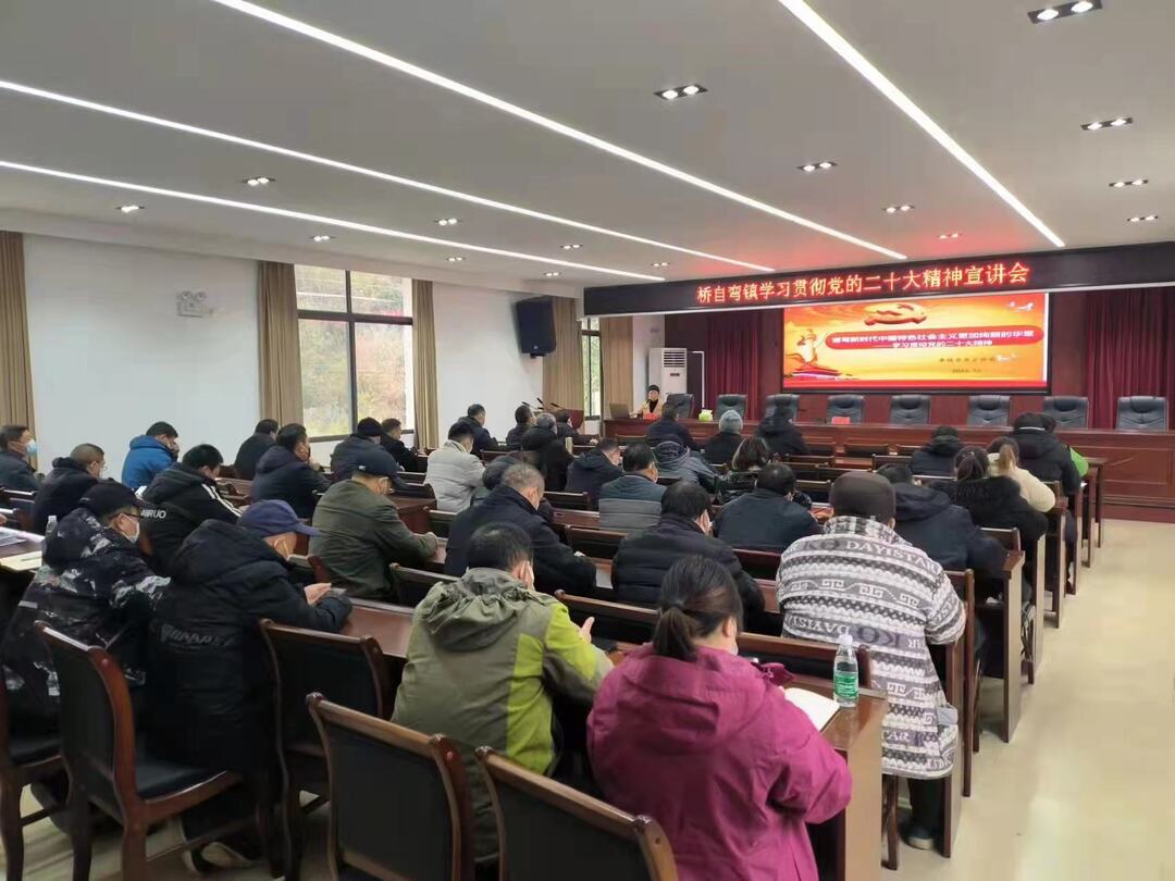 学习贯彻二十大 | 桥自弯镇举行学习贯彻党的二十大精神宣讲会
