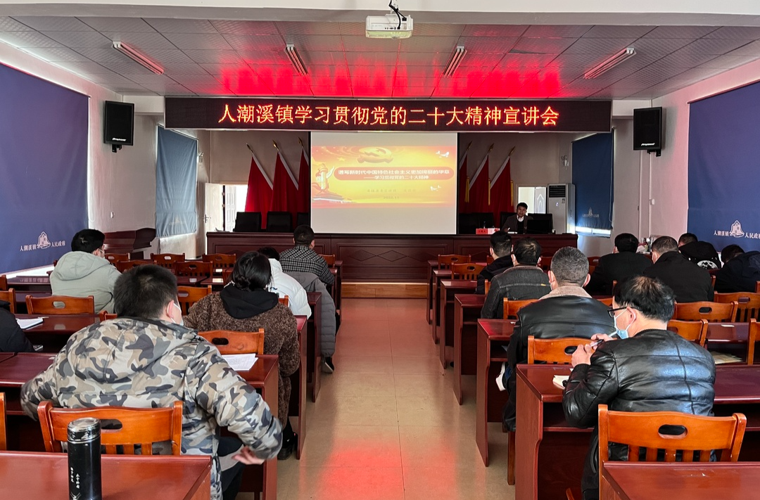 学习贯彻二十大 | 人潮溪镇集中学习党的二十大精神