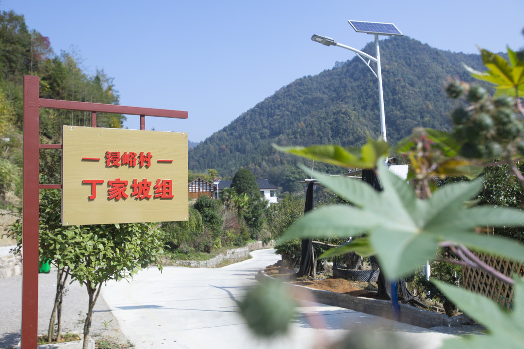 桑植县奏响乡村治理“协奏曲”