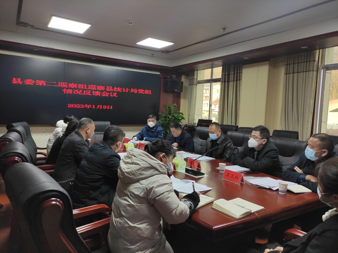 县委第二巡察组巡察县统计局党组情况反馈会召开