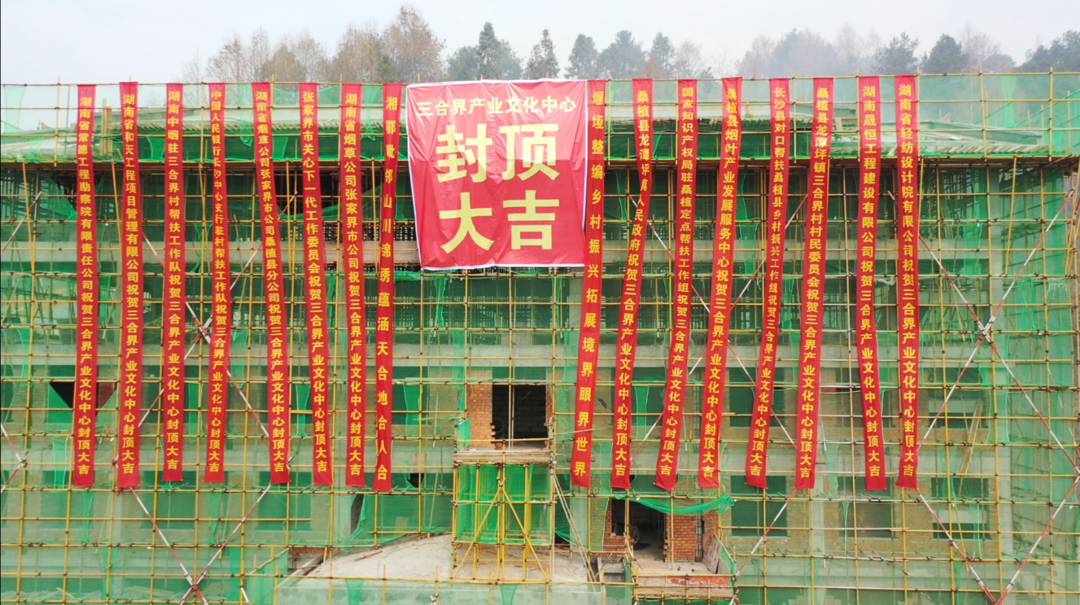 龙潭坪镇三合界村产业文化中心封顶 预计今年交付使用