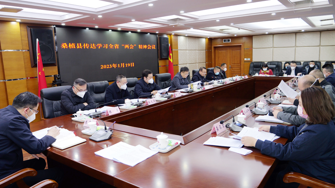 桑植县传达学习全省“两会”精神