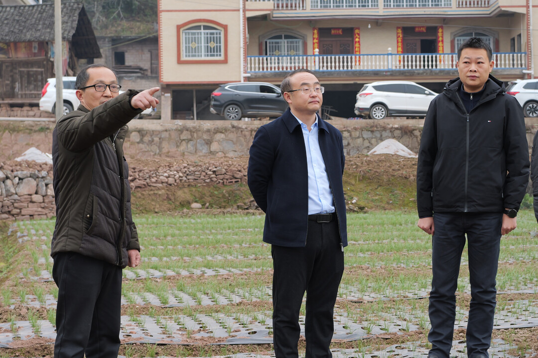梁高武调研村集体经济、公路建设、项目建设等工作