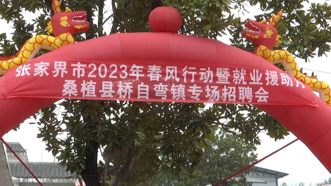 桥自弯镇：春风送岗到家门 庆元宵找工作两不误