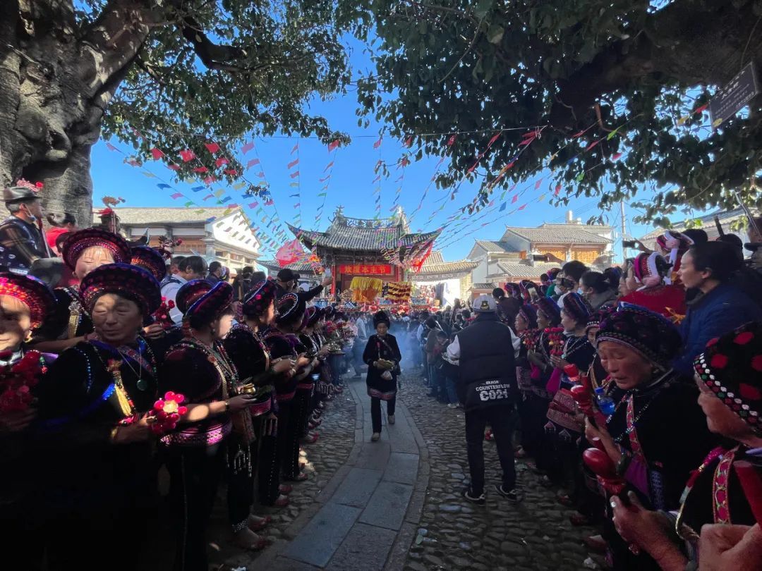 桑植县五大白族乡赴大理“取经”