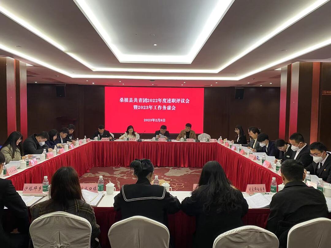 共青团桑植县委：回顾2022取经验 展望2023开新局