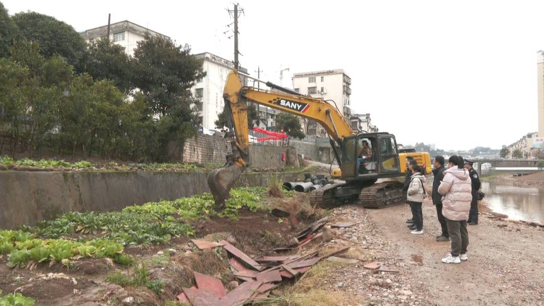 我县开展城区河道农作物清理专项整治行动