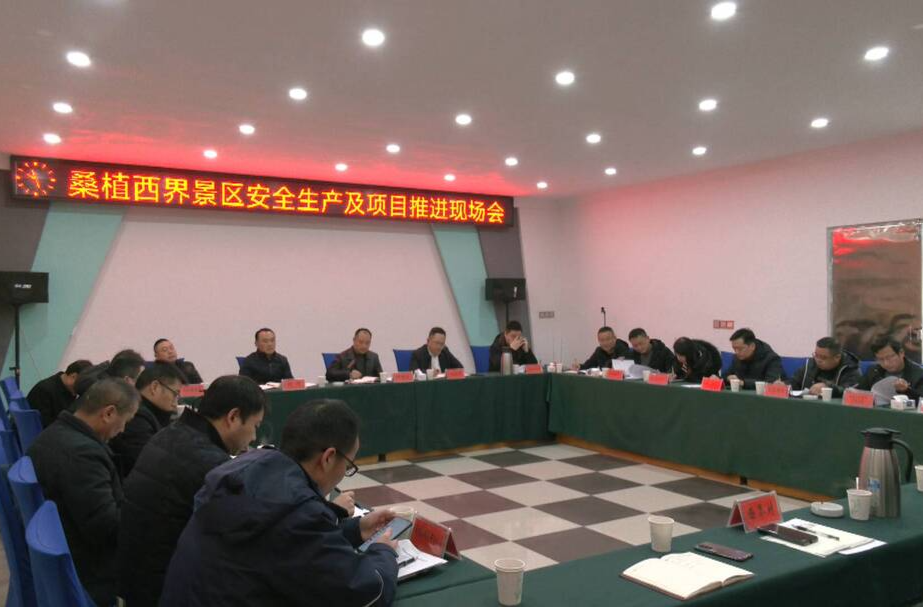钟照寰带队调研西界景区安全生产及项目推进工作