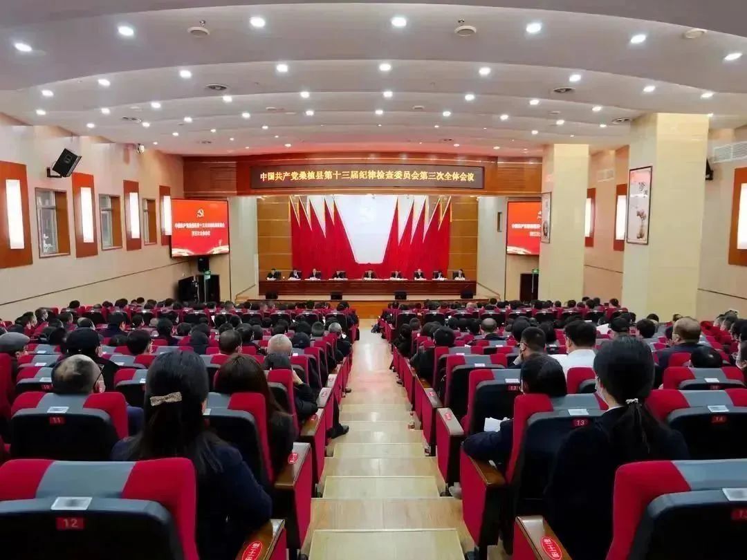 曹飞：坚定不移深入推进全面从严治党 为桑植高质量发展提供坚强保障