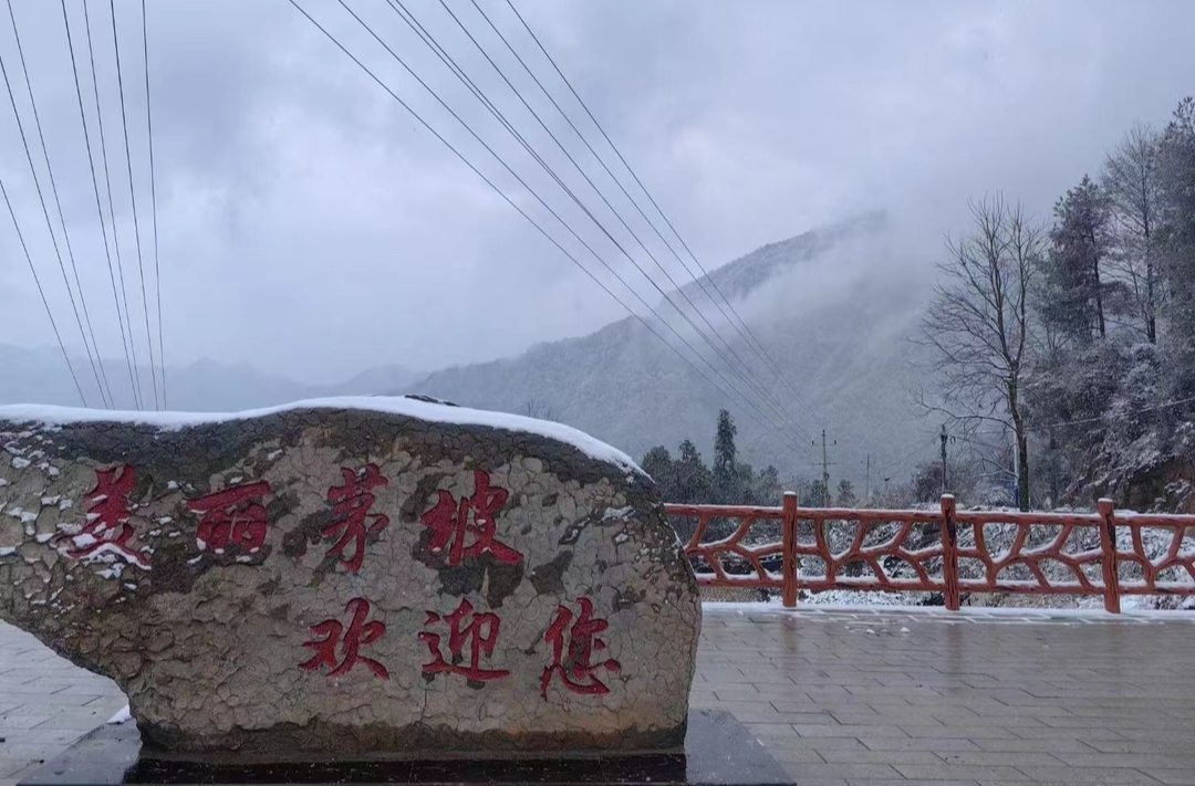 八大公山镇茅坡村：乡贤融入乡村振兴 共同打造美丽乡村