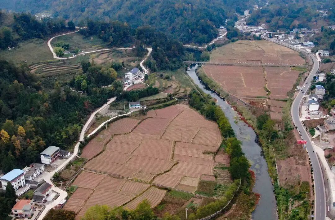 桑植县自然资源局：织牢耕地保护网 守好桑植“粮袋子”