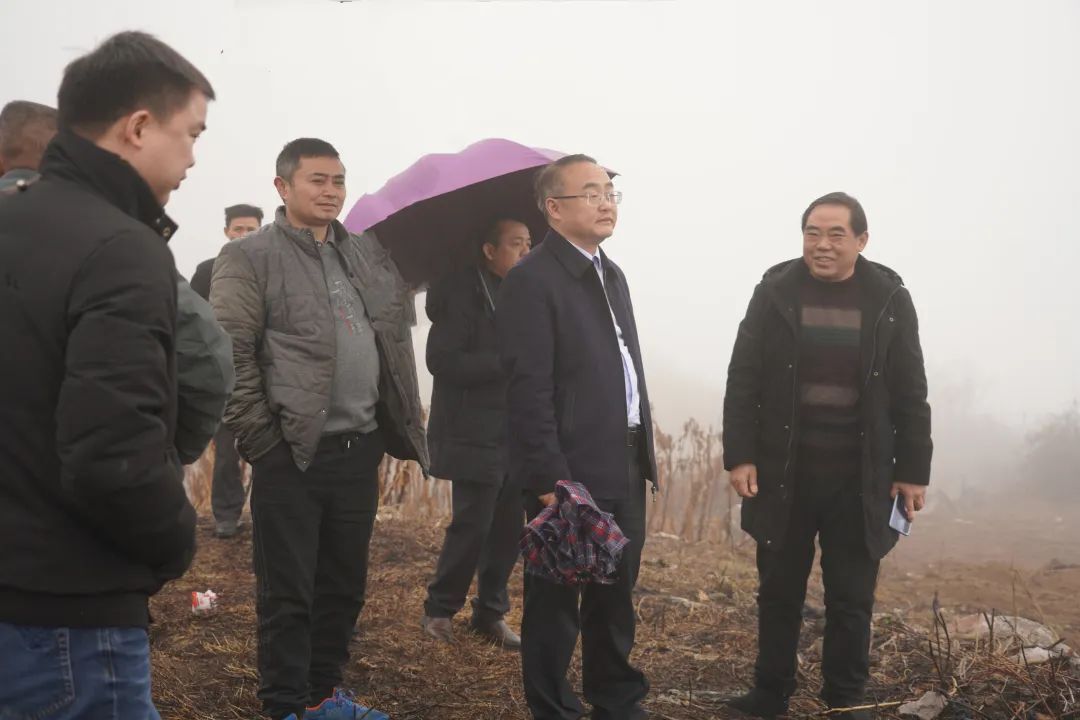 梁高武调研烟叶生产和乡村振兴工作