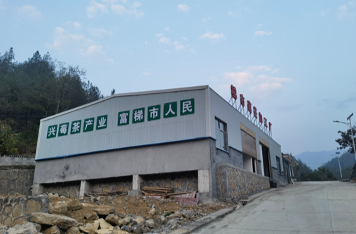 桑植梯市村:全面规划 确保乡村振兴“成色”