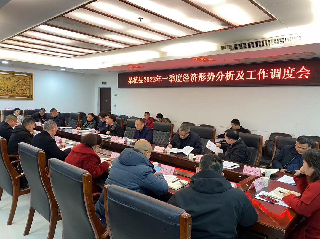 桑植县2023年一季度经济形势分析及工作调度会召开
