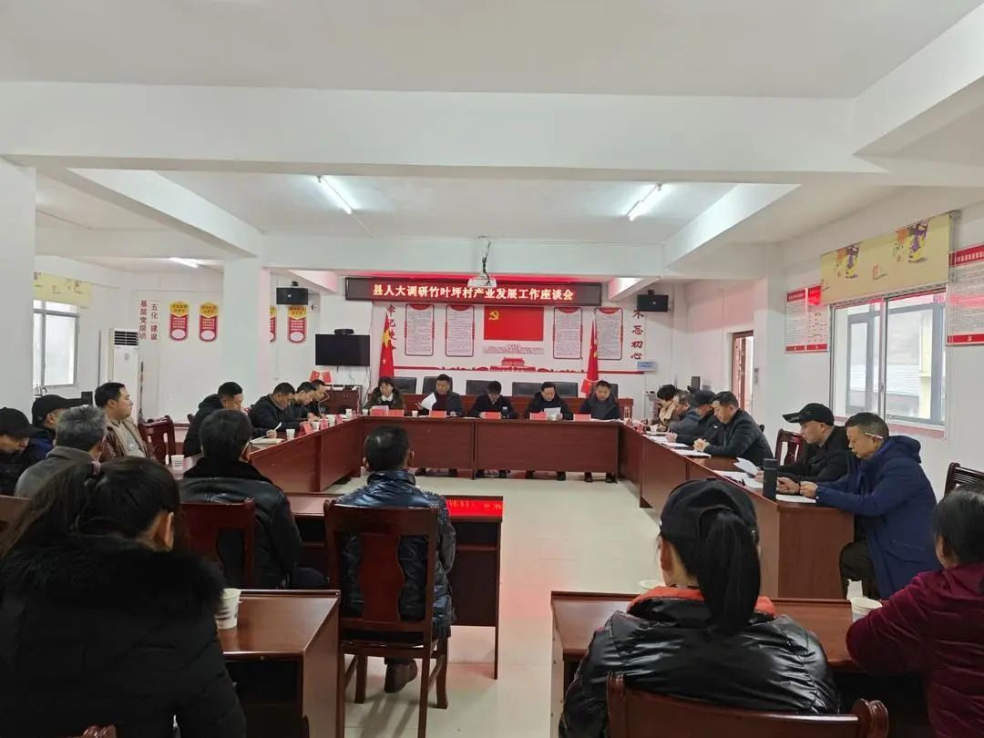 杨绍武到竹叶坪乡调研产业发展工作情况