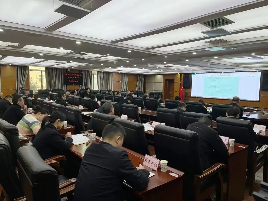 曹飞主持召开桑植县国土空间规划委员会2023年第1次会议
