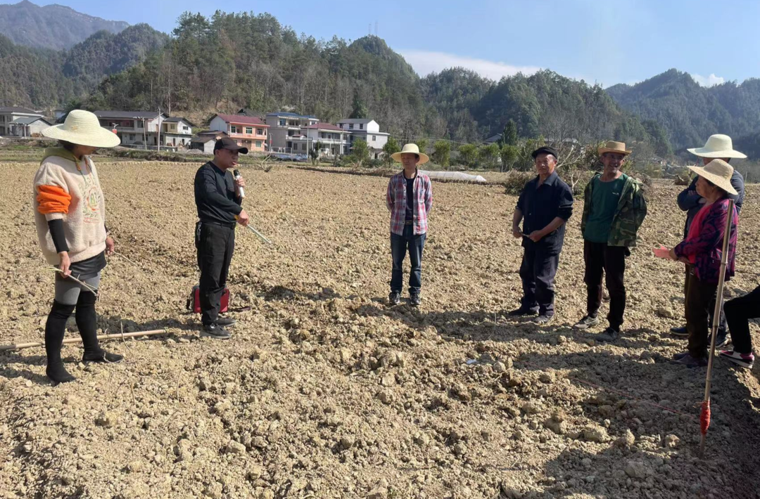 桑植县河口乡：行走在田间地头的“课堂”