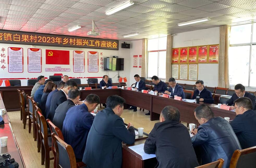 杨绍武带队调研桥自弯镇白果村乡村振兴工作