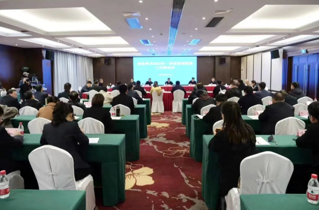 全市2023年一季度基层党建工作推进会在桑召开