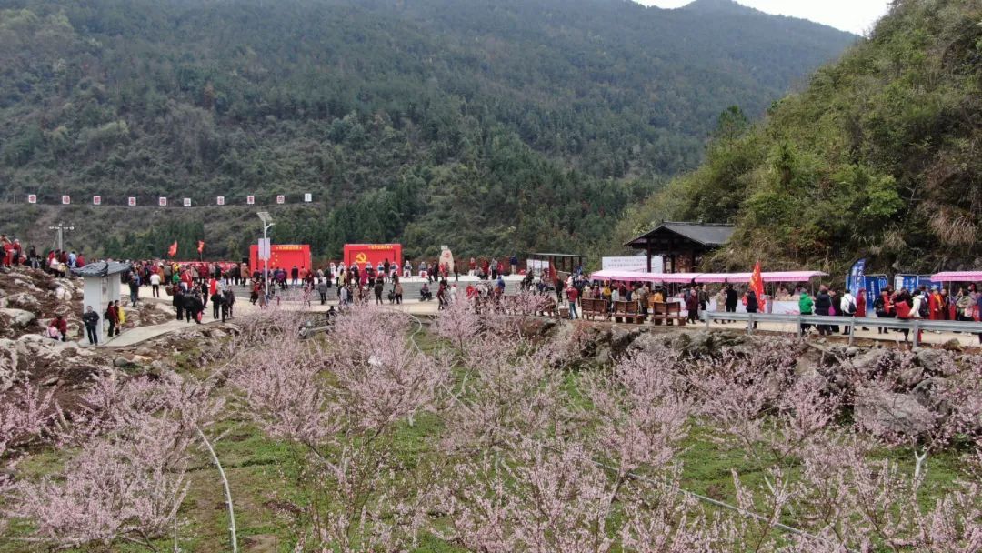 以桃为媒 “共享农业”助力乡村振兴 合群村举办2023年度桃花艺术节