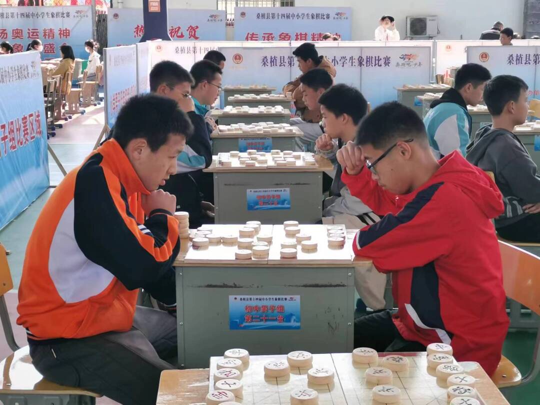 桑植县第十四届中小学生象棋比赛举行