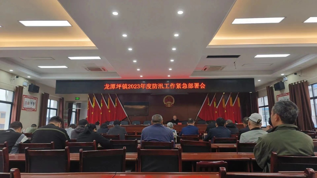 防汛备讯 龙潭坪镇在行动！
