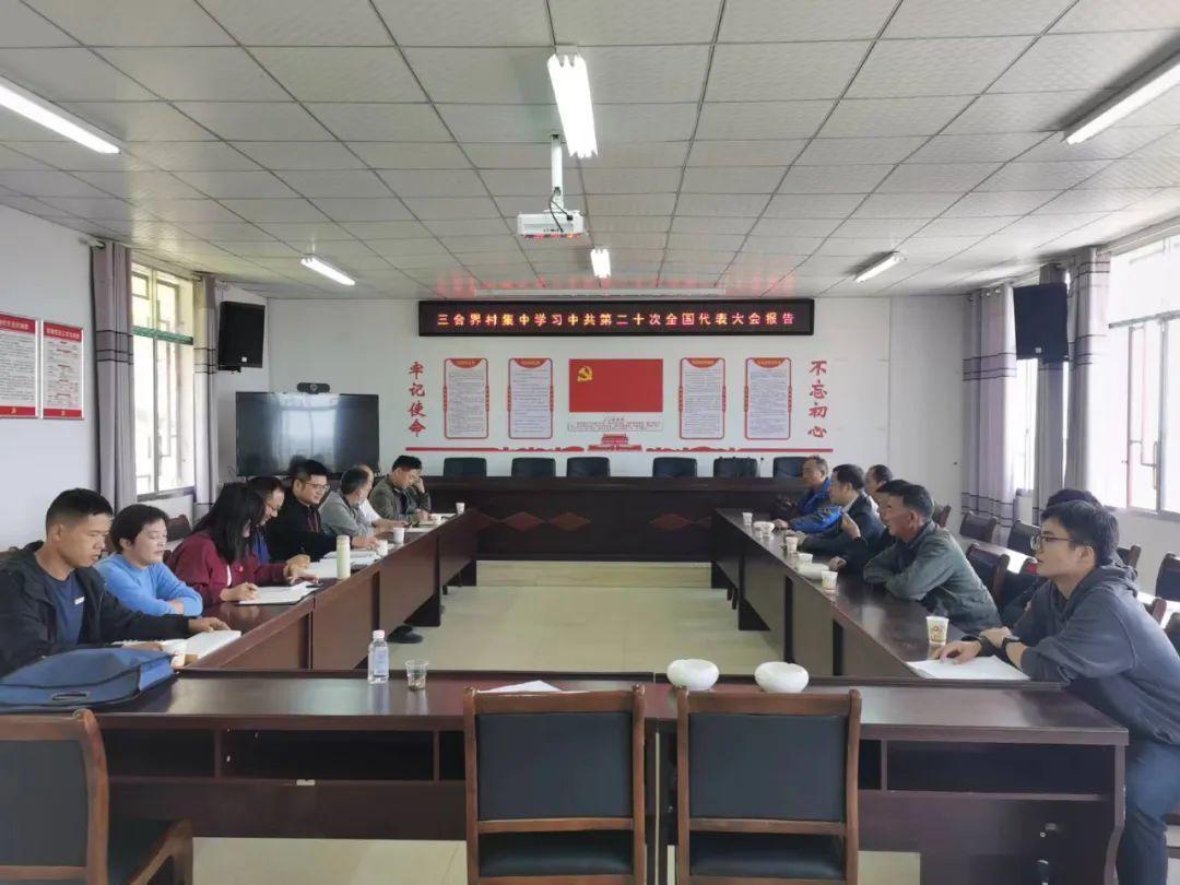 三合界村：“三力”赋能聚民心，乡村治理增效能