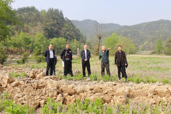 张交通调研督导懂市村乡村振兴工作