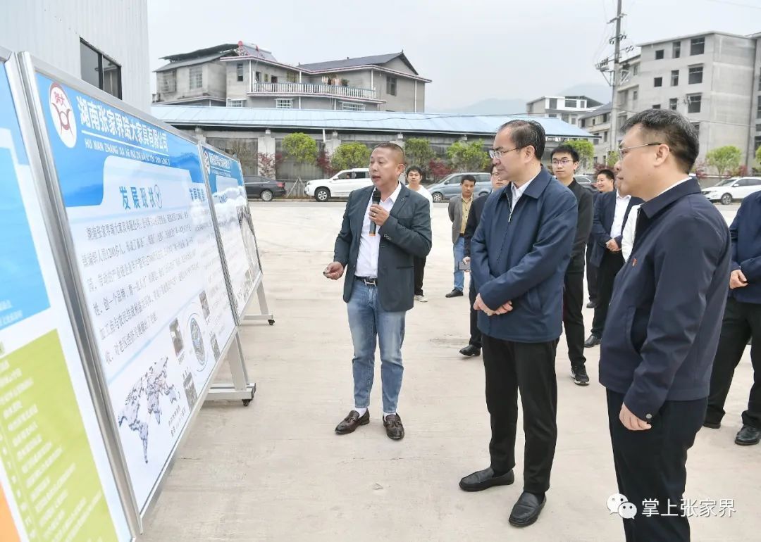 刘革安到桑植县调研时强调：奋力实现县域发展“后发赶超”