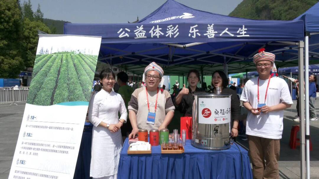 桑植白茶“香飘”武陵源