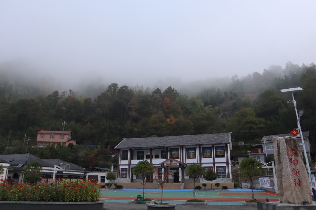 桑植县发改局：栽下梧桐树 引来凤还巢