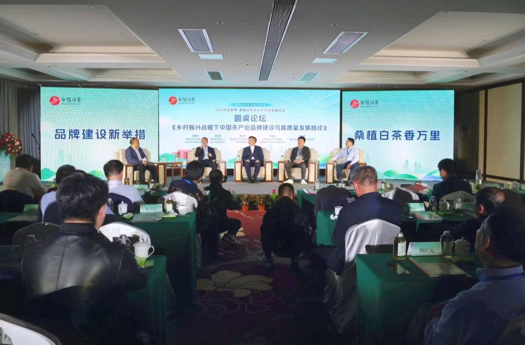 桑植白茶香万里  2023年张家界·桑植白茶文化节产业发展论坛成功举行