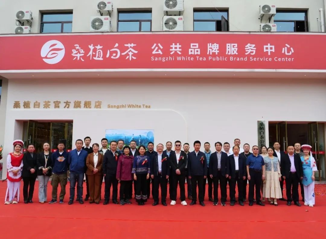 桑植白茶公共品牌服务中心开门迎客