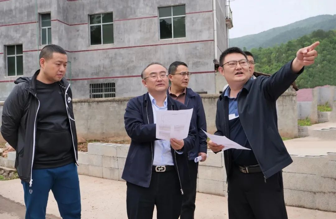 梁高武调研控违治违工作