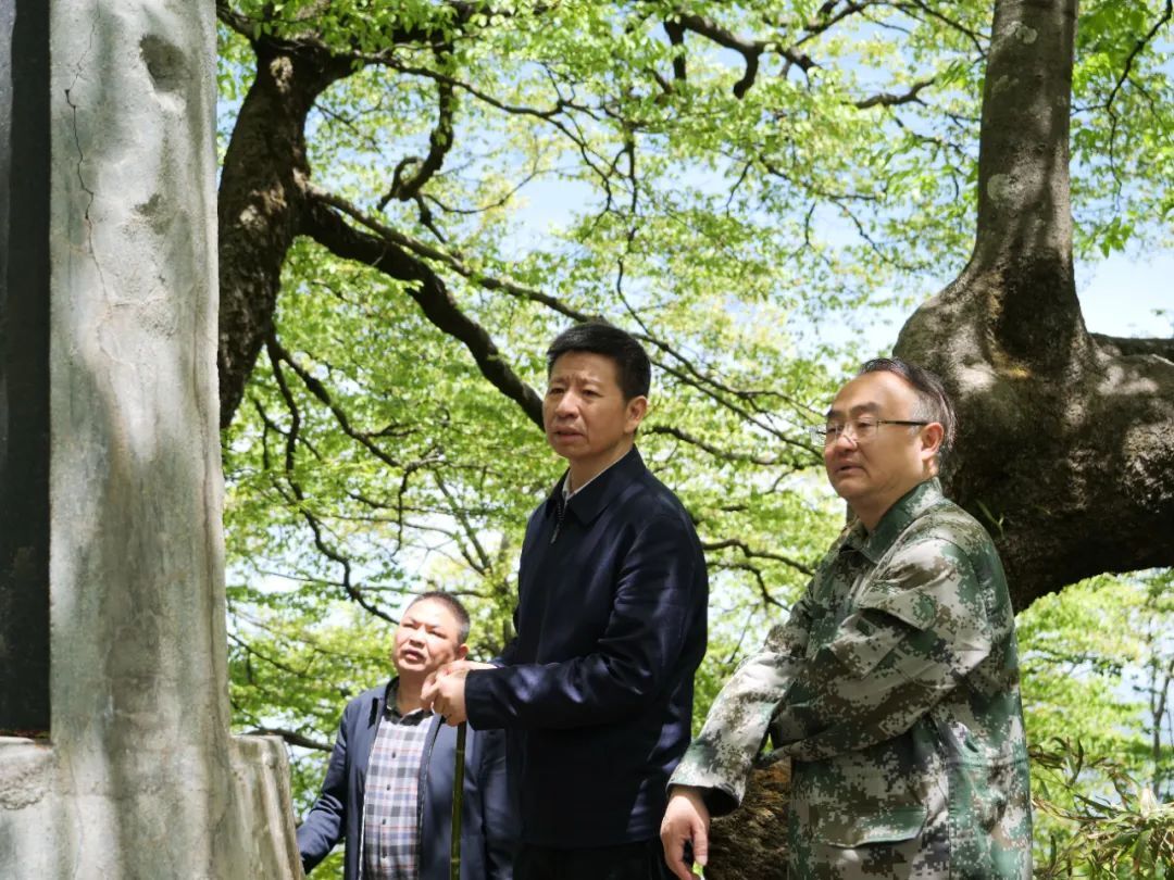 王洪斌到桑植县调研并开展巡林