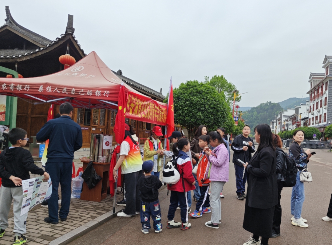 景区“偶遇”桑植白茶  一盏清茗得客心