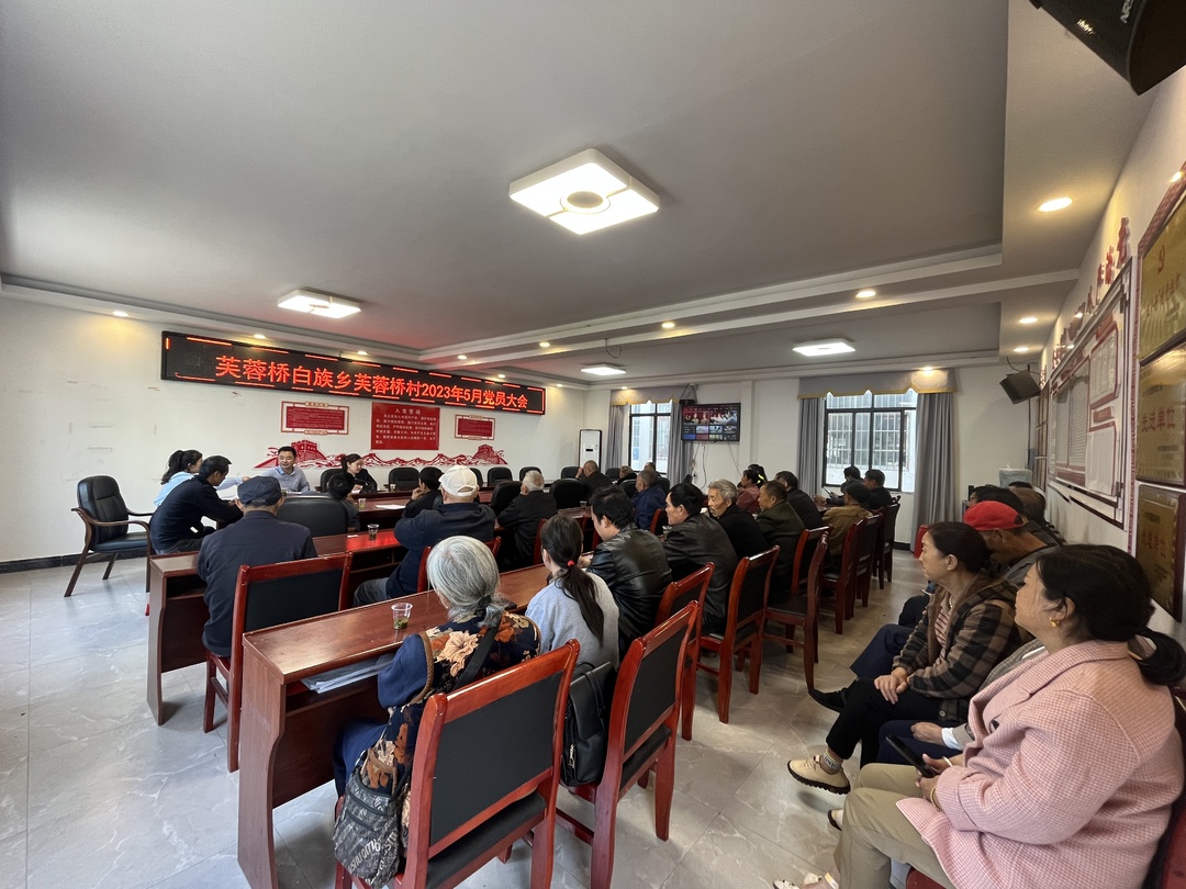 芙蓉桥白族乡芙蓉桥村：党群一心共促实践  提质升级乡村环境