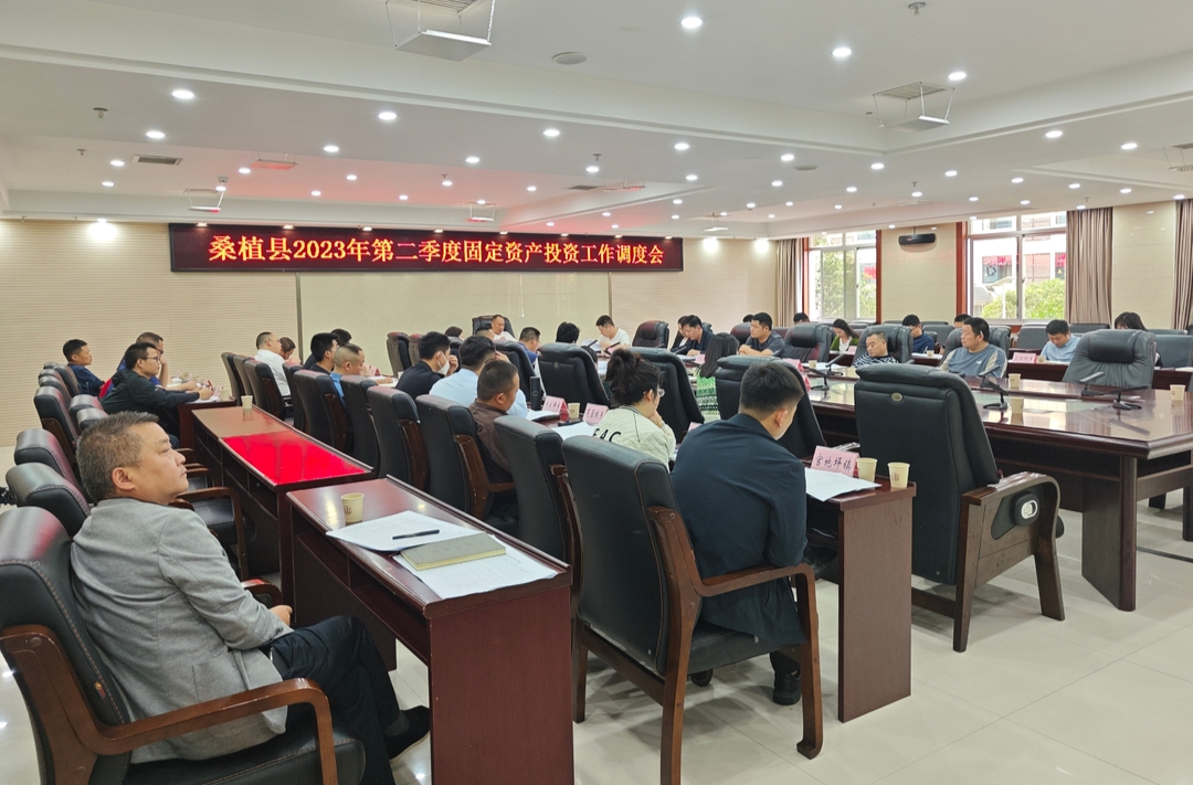 桑植县调度2023年第二季度固定资产投资工作