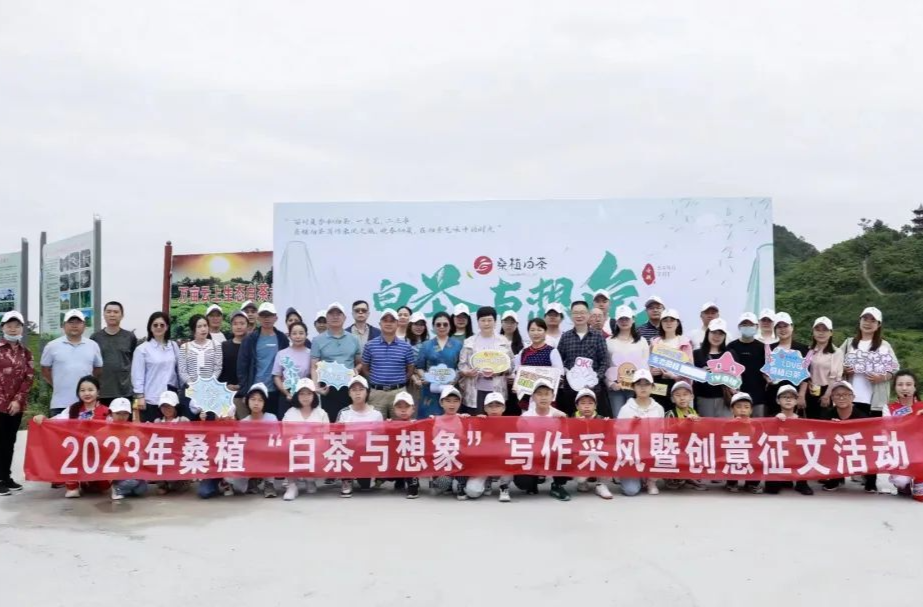 桑植白茶与文学邂逅 文化赋能茶产业发展